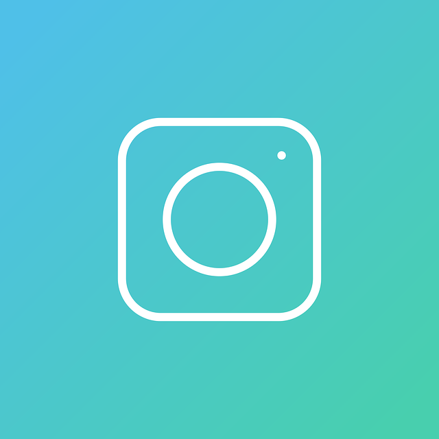 Linkable Instagram button